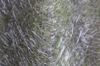 Hollingworth fibreglass roof work